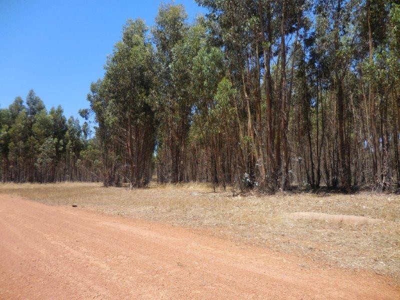 12564 Yarnup Road, Rocky Gully WA 6397