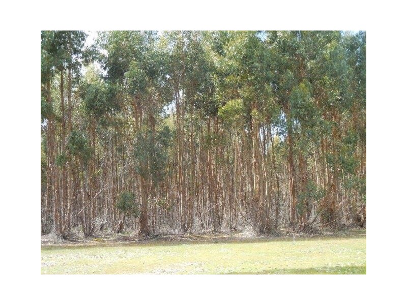 12564 Yarnup Road, Rocky Gully WA 6397