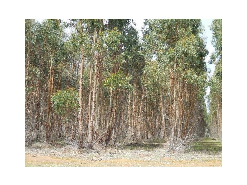 12564 Yarnup Road, Rocky Gully WA 6397