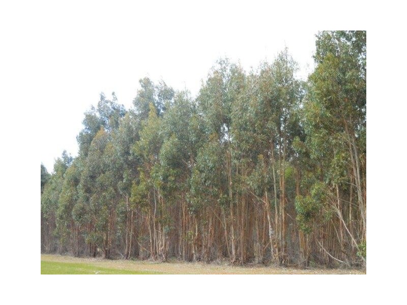 12564 Yarnup Road, Rocky Gully WA 6397