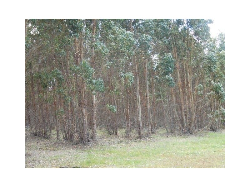 12564 Yarnup Road, Rocky Gully WA 6397