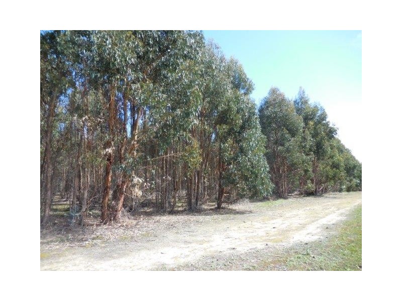 12564 Yarnup Road, Rocky Gully WA 6397