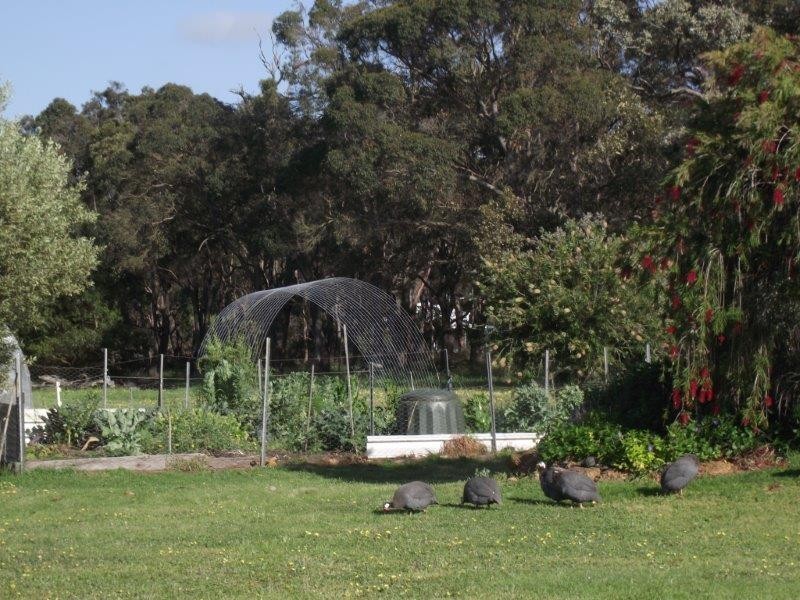 51 Sixpenny Road, Porongurup WA 6324
