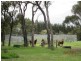 51 Sixpenny Road, Porongurup WA 6324