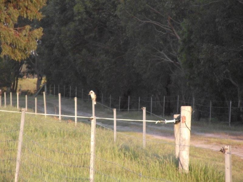 51 Sixpenny Road, Porongurup WA 6324
