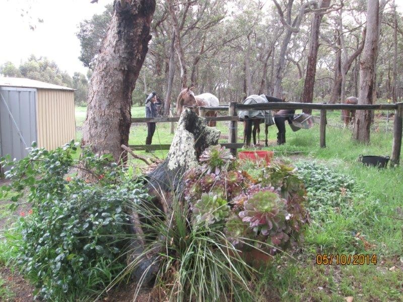 51 Sixpenny Road, Porongurup WA 6324