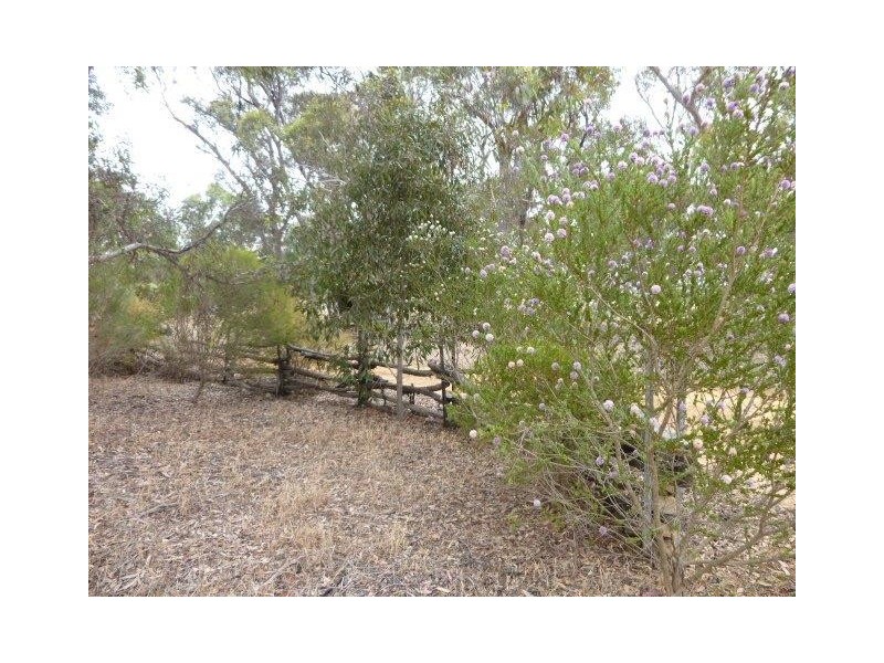 94 Wandoo Road, Kendenup WA 6323