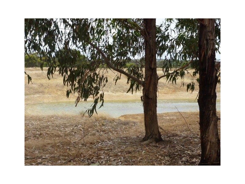 94 Wandoo Road, Kendenup WA 6323