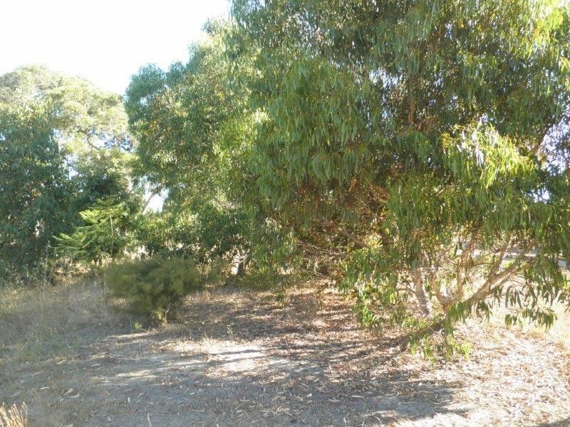 Lot 338 Third Avenue, Kendenup WA 6323