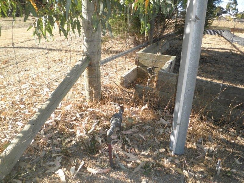 Lot 338 Third Avenue, Kendenup WA 6323