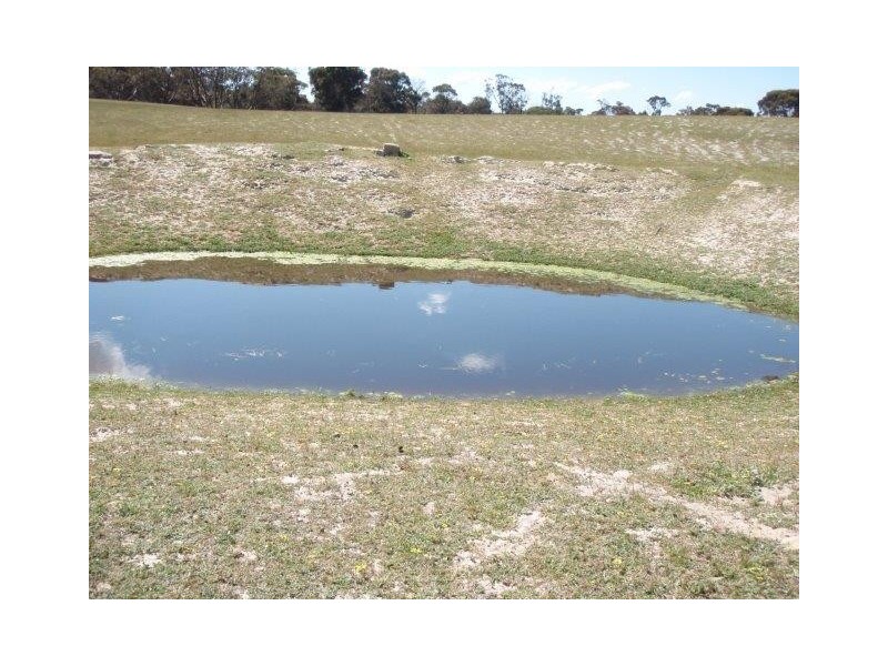 809 Duck Lake Road, Cranbrook WA 6321