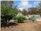 14 Thomas Street, Mount Barker WA 6324