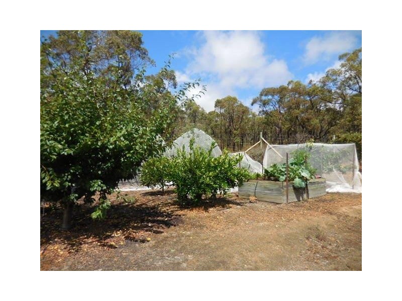 14 Thomas Street, Mount Barker WA 6324
