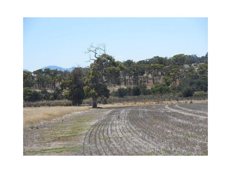 Lot 104 Fenton Heights, Kendenup WA 6323