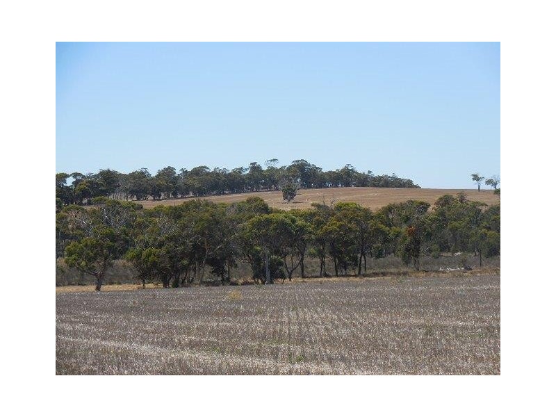Lot 104 Fenton Heights, Kendenup WA 6323