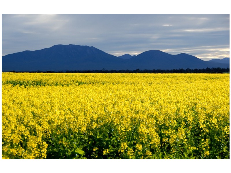 253 Newdegate Road, Kendenup WA 6323