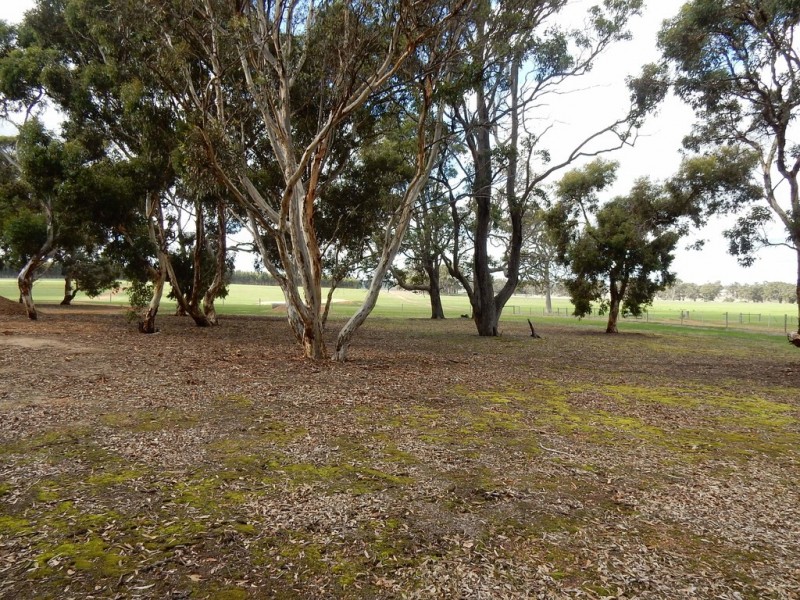 22 Hammerston Way, Frankland WA 6396