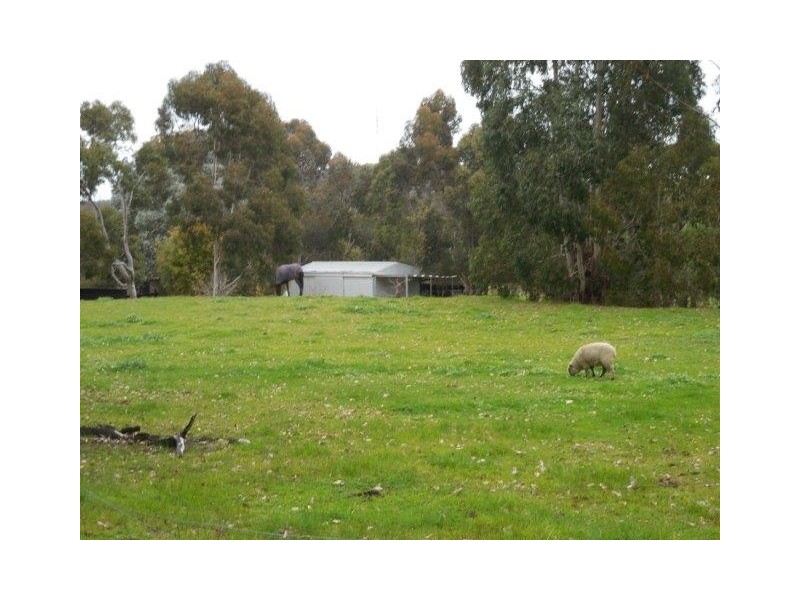 121 Hassell Street, Mount Barker WA 6324