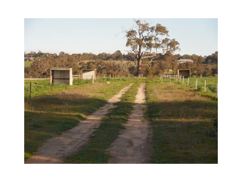 Lot 309 Redgum Pass Road, Kendenup WA 6323