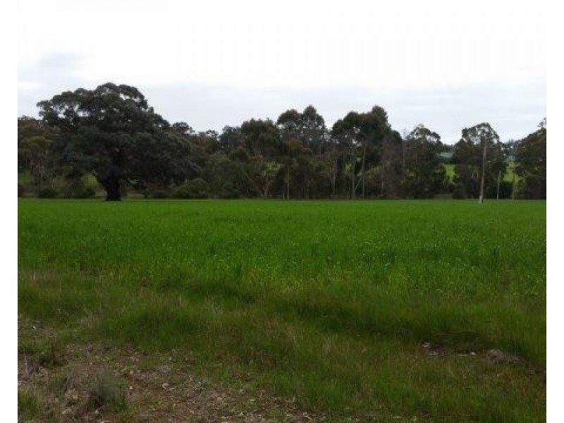 2x Lots Sturdee and West Beattie Road, Mount Barker WA 6324