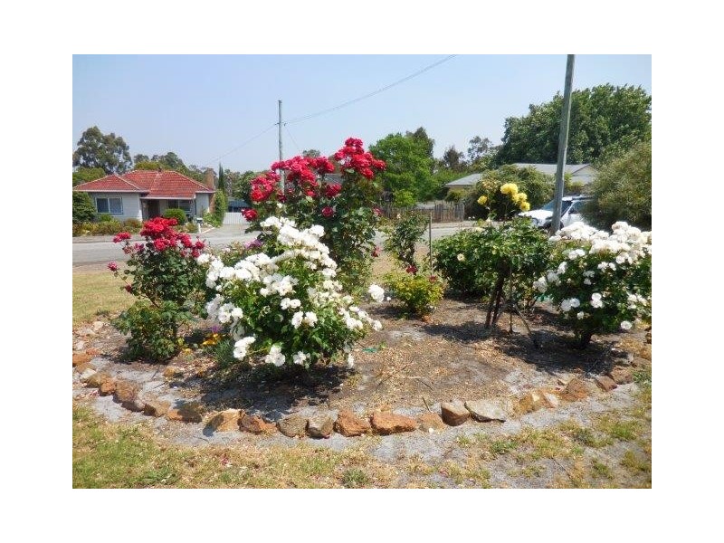 25 Webster Street, Mount Barker WA 6324