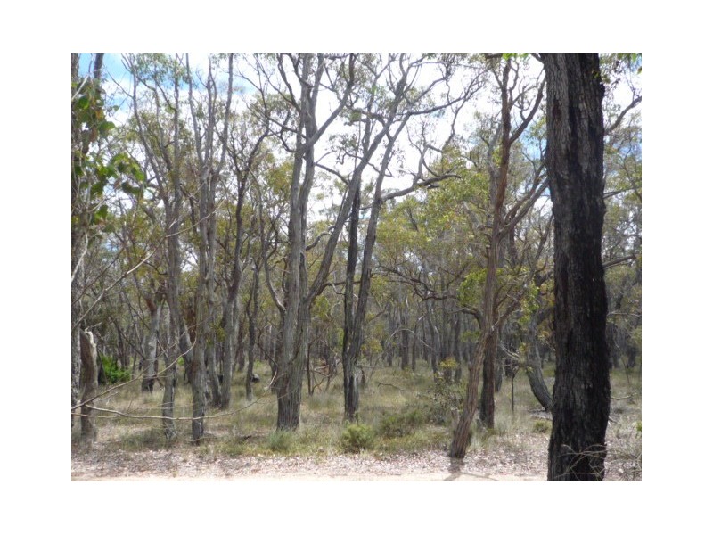 Lot 490 Fisher Road, Kendenup WA 6323