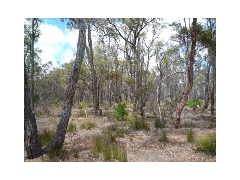 Lot 490 Fisher Road, Kendenup WA 6323