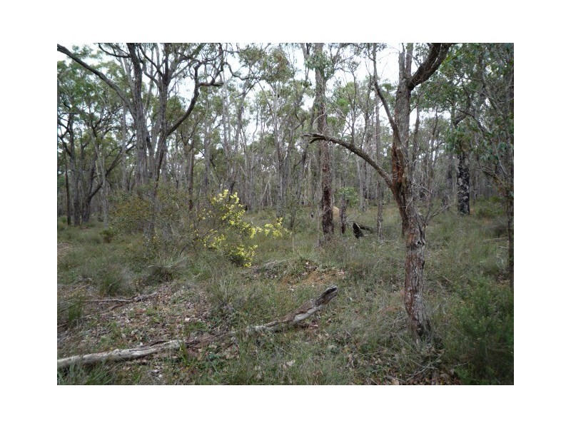Lot 490 Fisher Road, Kendenup WA 6323