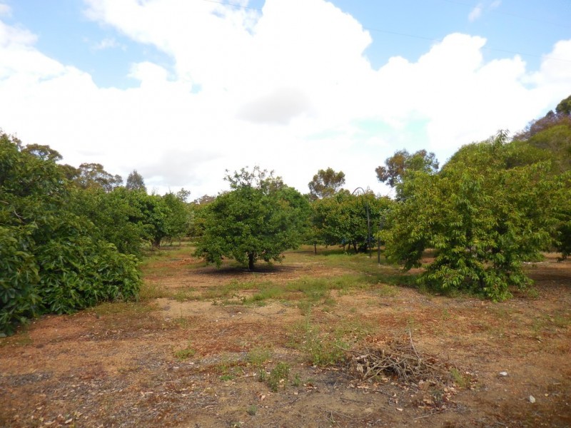 273 Whitworth Road, Mount Barker WA 6324