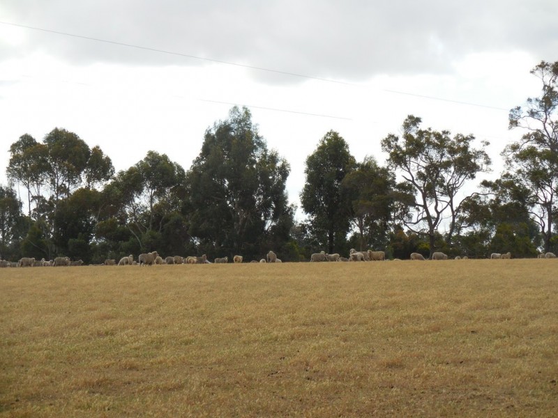 273 Whitworth Road, Mount Barker WA 6324