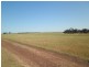 Lot 11 and 2586 Red Gum Pass Road, Kendenup WA 6323