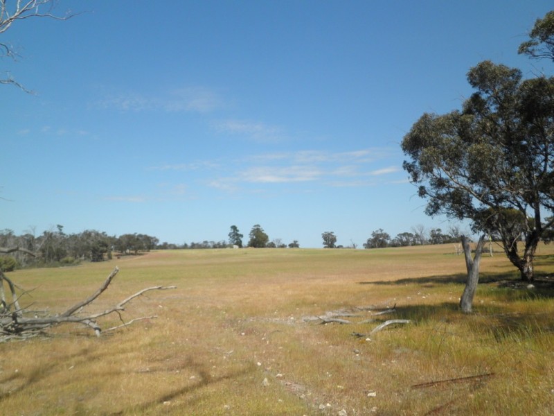 Lot 11 and 2586 Red Gum Pass Road, Kendenup WA 6323