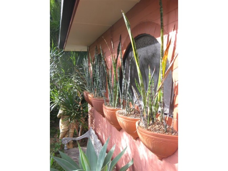 43 Yacht Street, Clontarf QLD 4019