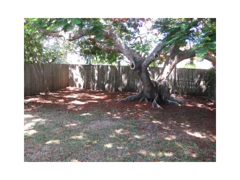 16 Donald St, Woody Point QLD 4019