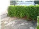 231 Scarborough Rd, Scarborough QLD 4020