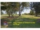 20 Arafura Ct, Kippa-ring QLD 4021