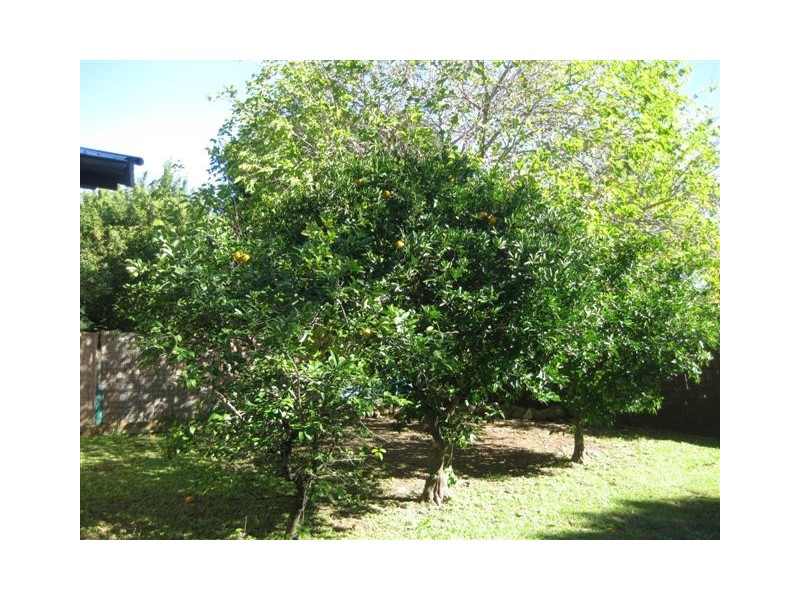 19 Lucas Street, Scarborough QLD 4020