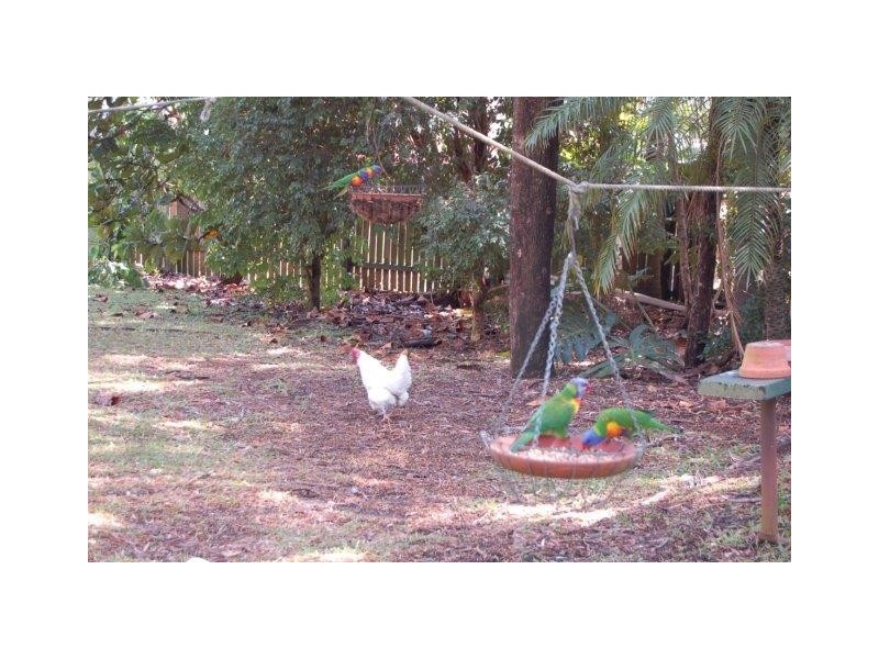 40 Nuttall St, Lawnton QLD 4501