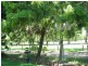 1/1 Valerie, Clontarf QLD 4019