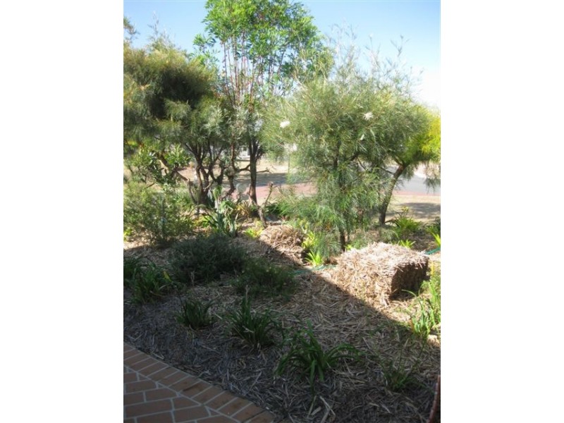 1 Otter Court, Rothwell QLD 4022