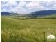 1247 Sandy Creek Road, Muswellbrook NSW 2333