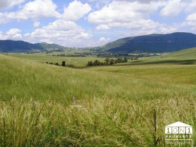 1247 Sandy Creek Road, Muswellbrook NSW 2333