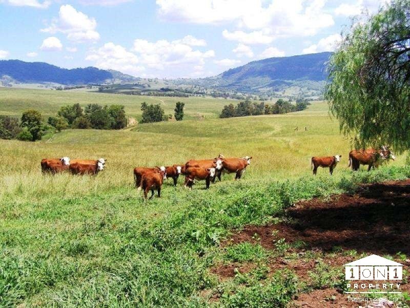 1247 Sandy Creek Road, Muswellbrook NSW 2333