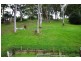131 Dobell Drive, Wangi Wangi NSW 2267