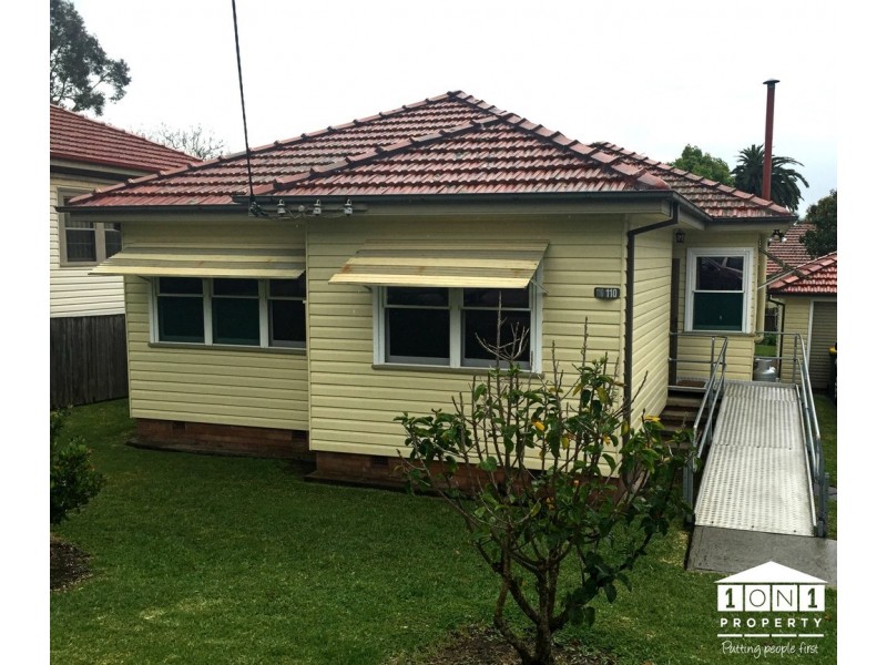 110 Crebert Street, Mayfield NSW 2304