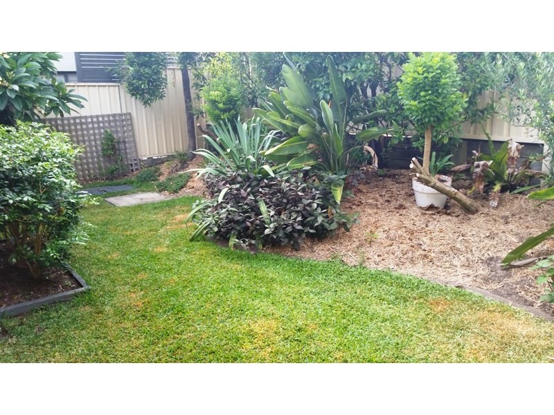 19 Buchanan Street, Merewether NSW 2291