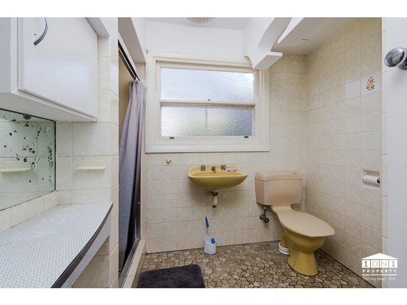 98 Robert Street, Tenambit NSW 2323