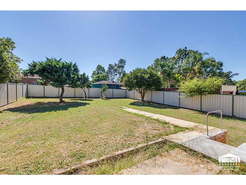 98 Robert Street, Tenambit NSW 2323