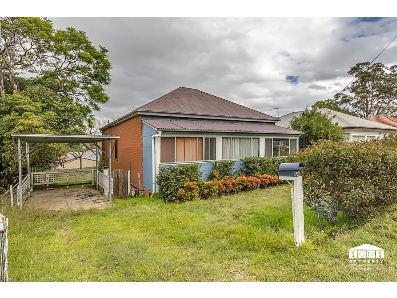 73 Maize Street, Tenambit NSW 2323