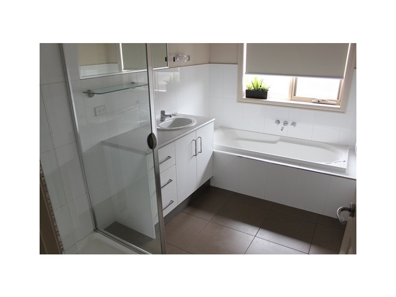 19 Cheltenham Road, Newcomb VIC 3219